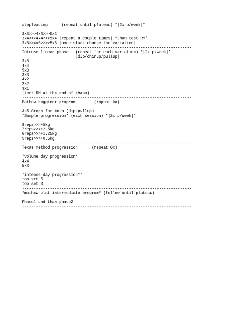 Mathew Zlat Training Program Guide | PDF