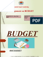 Budget