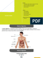 Plim! Revisão de Conteúdos de Estudo Do Meio 4º Ano - 1º Trimestre