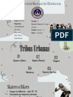 Tribus Urbanas_trabajo Grupal