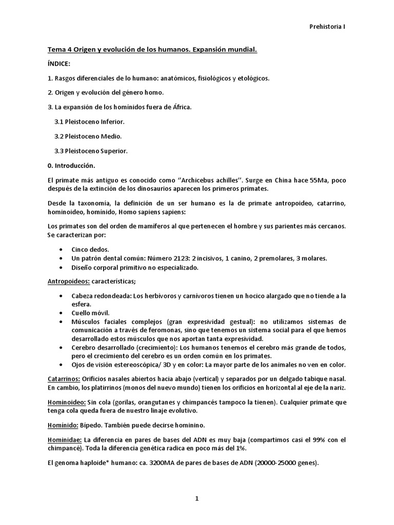 Evolución Humana y Expansión Global | PDF | Homo | neanderthal