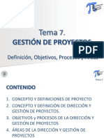 Tema 7 - Gestion de Proyectos-Definicion Procesos y Areas - GIE