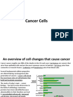 Cancer Cells Official