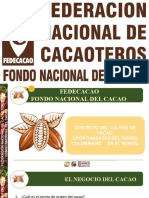 Oportunidades Del Cacao - Negocio