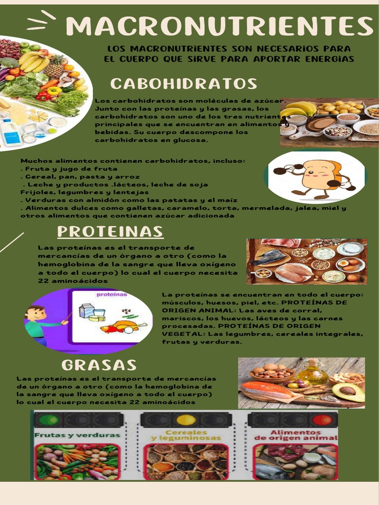 Infografía Macronutrientes Y Los Alimentos Pdf Alimentos