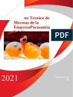 Informe Tecnico de Mermas de La Empresapacasantia S.A.C: Elaborado Por BLG