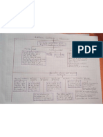 Auditoria Cambiaria y Aduanera Aca 1