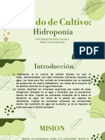 Metodo de Cultivo Hidroponia Presentación