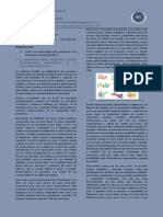 La objetividad entre paréntesis: criterio epistemológico fundamental de la Educación Cosmológica