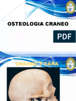 B102 Huesos Del Craneo