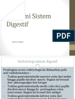 Anatomi Sistem Digestif 