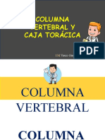 Columna Vertebral y Caja Toracica