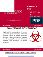 Sem N 01 Bioseguridad