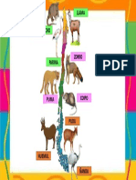 Animales Chilenos Zonas Geográficas