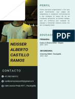 CV - Neisser Alberto Castillo Ramos