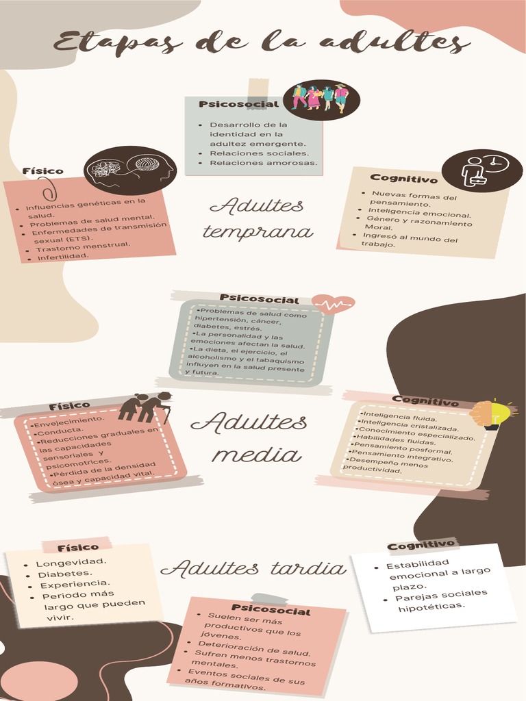 Etapas De La Adultez Pdf Desarrollo Humano Ciencias Del