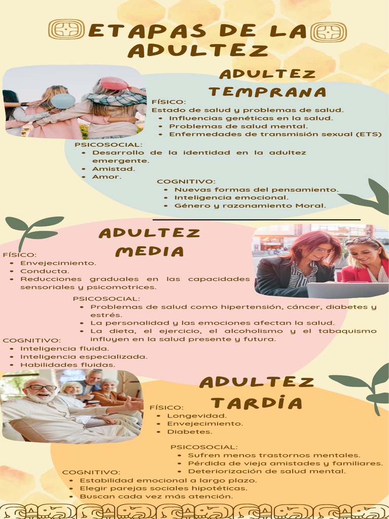 Etapas De La Adultez Pdf