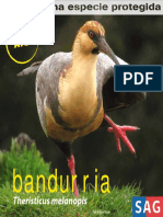 Bandurria