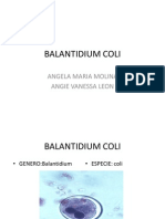 Balantidium coli: causante de balantidiasis con ciclo de vida y tratamiento