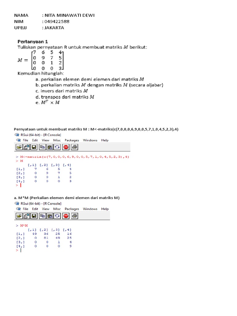 Operasi Matriks dan Array 4 Dimensi | PDF