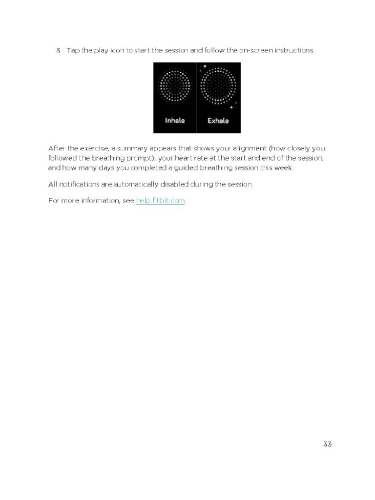 Manual Charge 3 en US Page 33 PDF