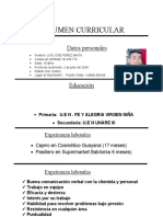 RESUMEN Curricular de LUIS PEREZ