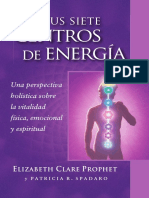 Tu Siete Centros de Energía