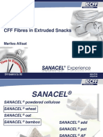 (BROCHURE) SANACEL Experience For Extruded Products Snacks