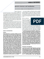 Introduction Flavoprotein Structure and Mechanism.