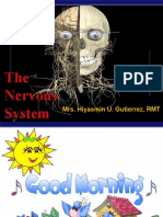 Nervous System