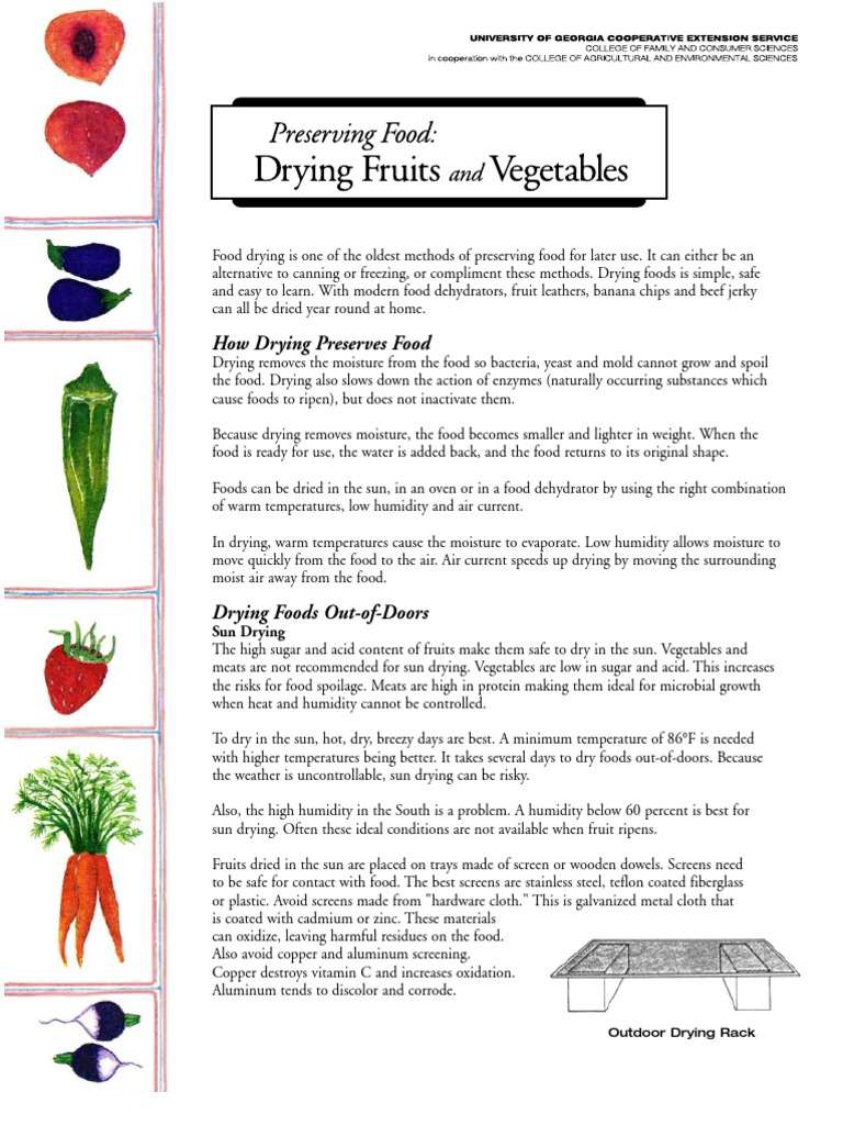Preserving Food Drying Fruits and Vegetables PDF Food Preservation Dried Fruit