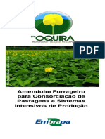 Amendoim forrageiro BRS Oquira