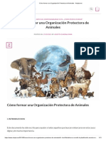 Cómo crear una ONG protectora de animales en