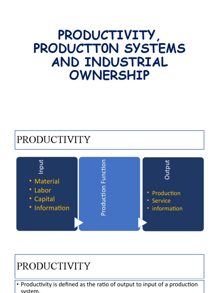 Understanding Production and Productivity | PDF | Factors Of Production ...
