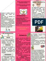 Folleto Salud Femenina Moderno Rosa