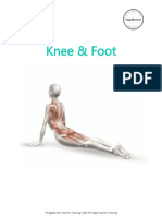 Knee and Foot Quick Reference