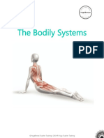 YogaRenew Bodily Systems
