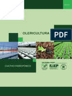 PR.0316-Olericultura-Cultivo-Hidroponico