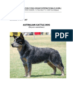 Federation Cynologique Internationale (Aisbl) : Autralian Cattle Dog (Boyero Australiano)