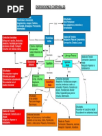 Mapa Disposicion Corporal Andrea Vera Sai