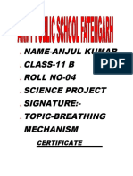 Breathing Mechanism Project by Anjul Kumar