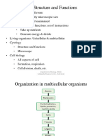 VIII Cell Structure & Functions