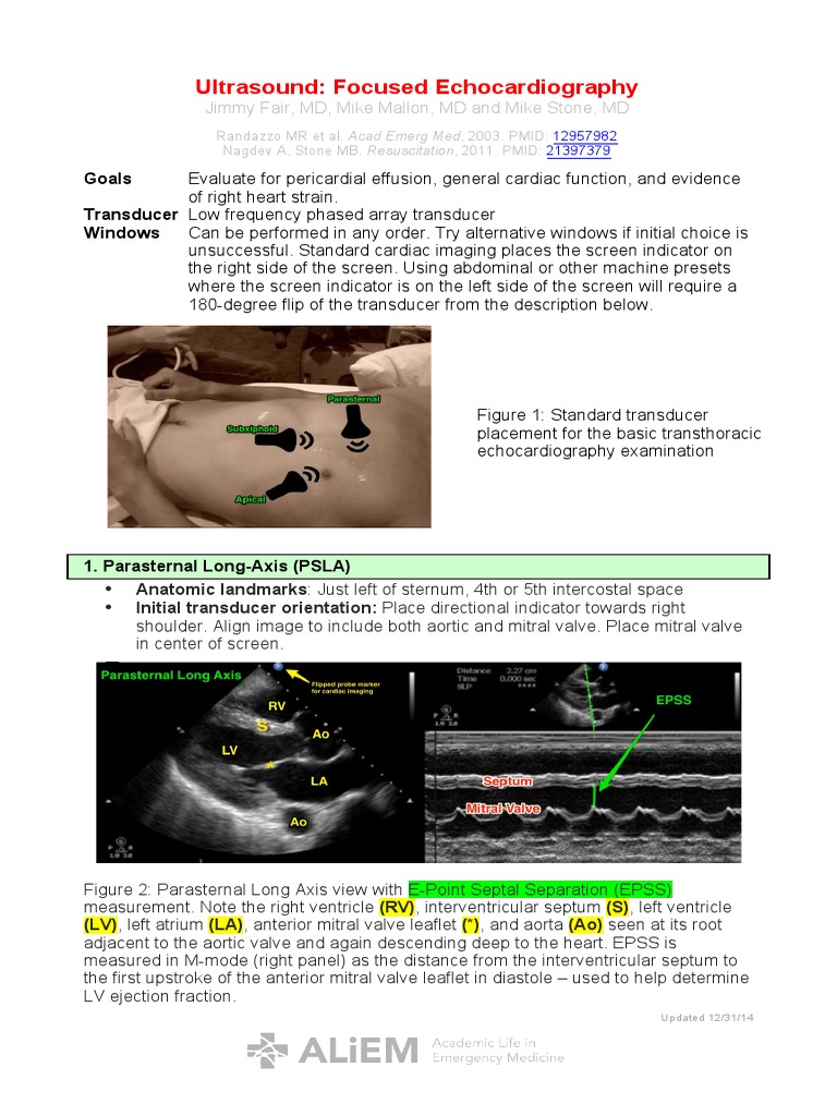 Focused Echocardiography Techniques | PDF | Heart Valve | Ventricle (Heart)