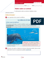 Hablo Sobre Un Animal