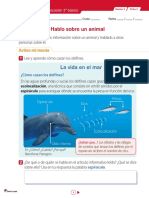 Cómo cazan los delfines usando ecolocalización