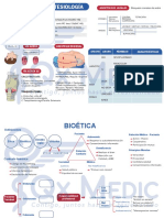 Mapas Mentales QX 2021