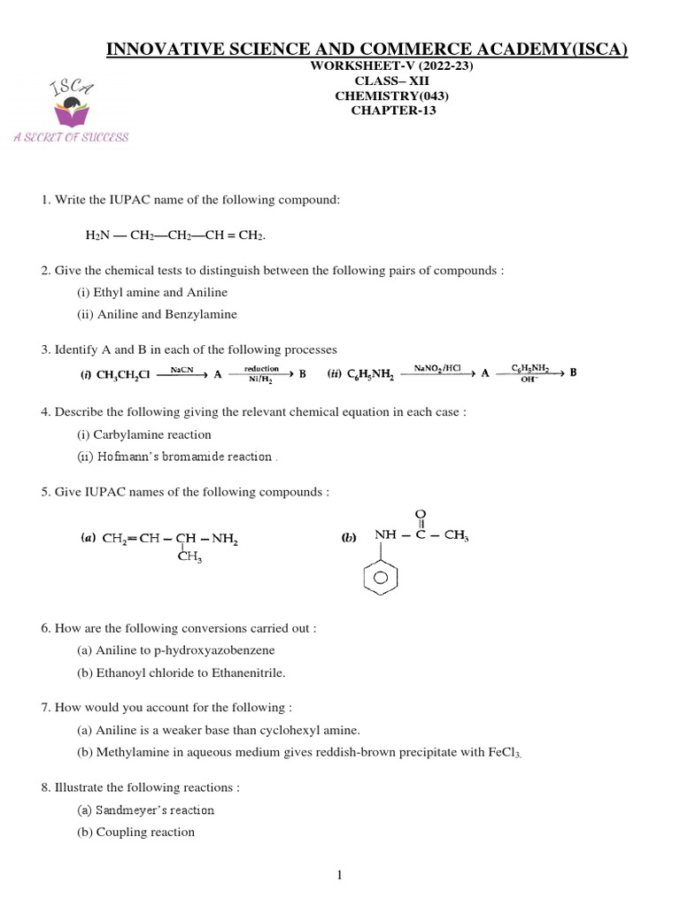 Chemistry Worksheet: Amines & Reactions | PDF | Amine | Hydrogen Compounds
