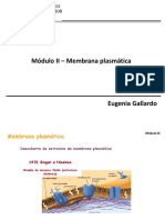 Aula 2 - Membrana Plasmática