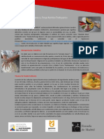 Articulo La Fanesca, Potaje Nutritivo Prehispánico PDF