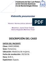 Klebsiella Pneumoniae Por Norma Leticia